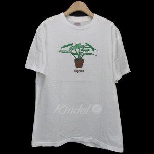 SUPREME 2017AW「Plant Tee」プラントT...