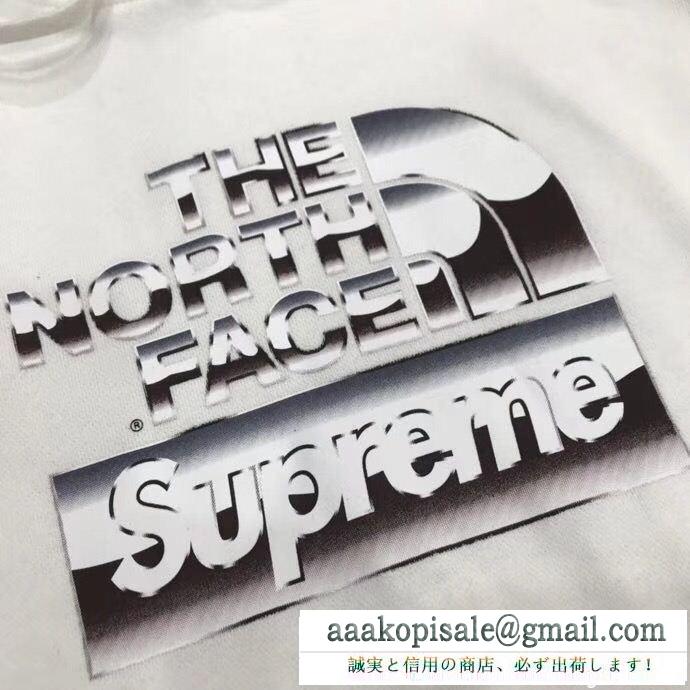 今も定番！SUPREMEシュプリーム×THE north face 18ss metallic logo hooded sweatshirtフード付きパーカーコピーブラック、ホワイト 